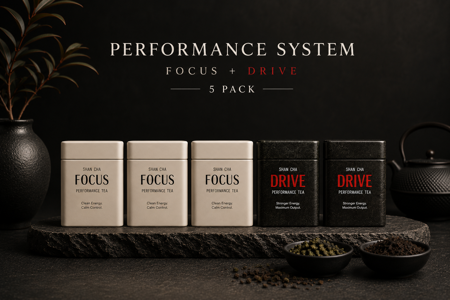 Performance System